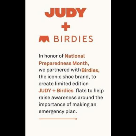 JUDY + Birdies Starling Gray Slip-On Flats- Size 10 - Picture 2 of 8